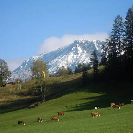 Thorau Alm Comfortable * Ruhpolding