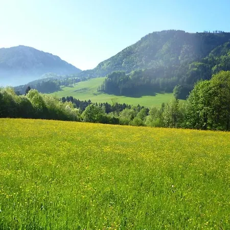 Thorau Alm Comfortable Ruhpolding